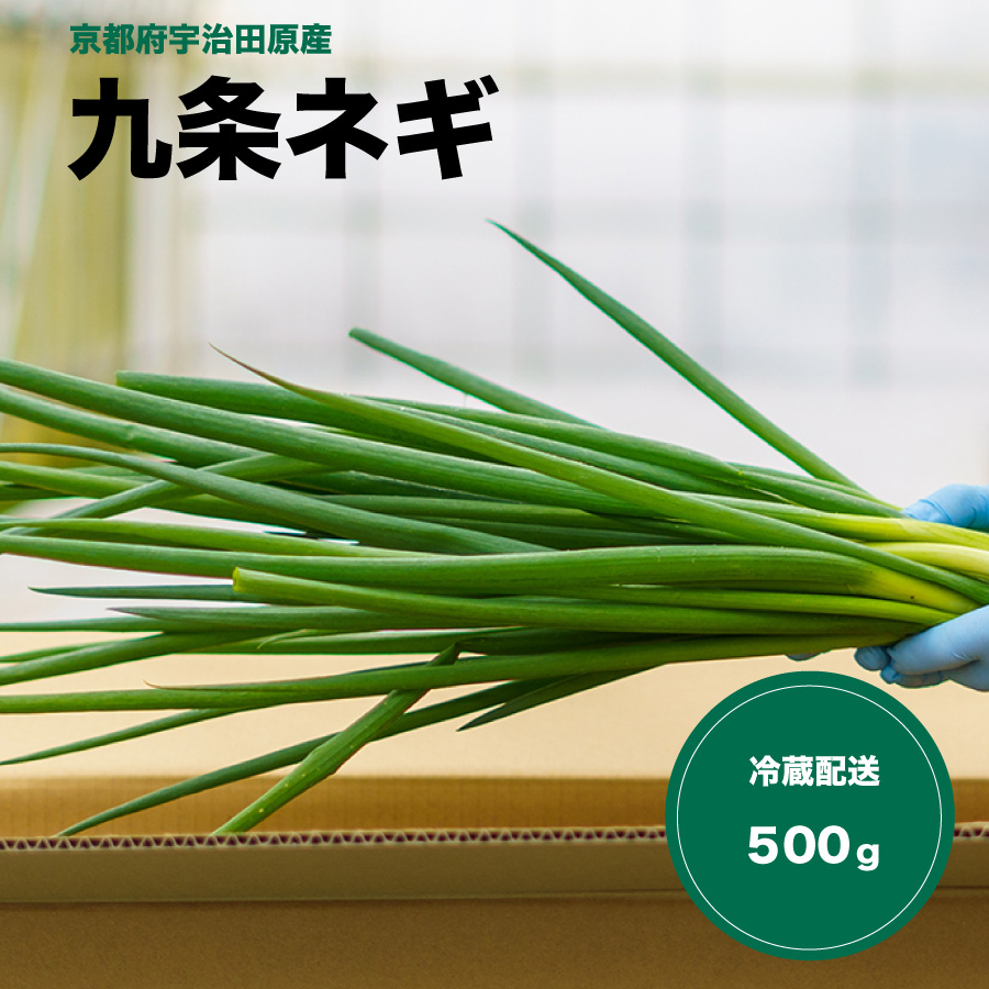 【お試し】京西 九条ネギ  500g 本州送料無料